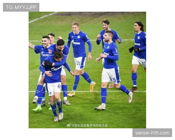 沙尔克04焕新阵容，剑指新赛季更高目标